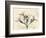 Oleander Moments-Albert Koetsier-Framed Premium Giclee Print