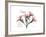 Oleander Peace-Albert Koetsier-Framed Premium Giclee Print