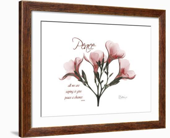 Oleander Peace-Albert Koetsier-Framed Premium Giclee Print