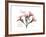 Oleander Peace-Albert Koetsier-Framed Premium Giclee Print