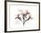 Oleander Peace-Albert Koetsier-Framed Premium Giclee Print