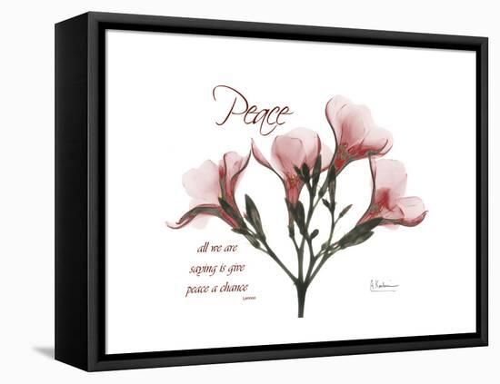 Oleander Peace-Albert Koetsier-Framed Stretched Canvas