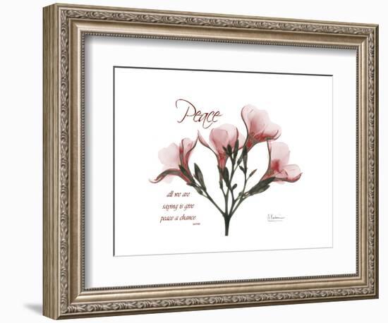 Oleander Peace-Albert Koetsier-Framed Premium Giclee Print