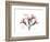 Oleander Peace-Albert Koetsier-Framed Premium Giclee Print