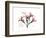 Oleander Peace-Albert Koetsier-Framed Premium Giclee Print