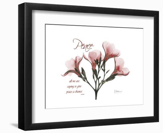 Oleander Peace-Albert Koetsier-Framed Premium Giclee Print