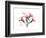 Oleander Peace-Albert Koetsier-Framed Premium Giclee Print