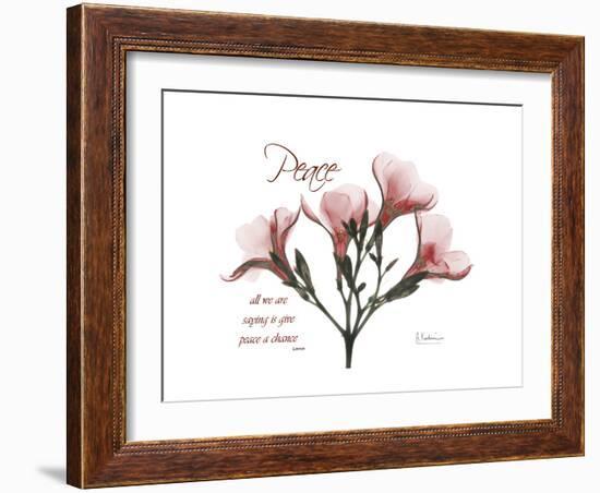 Oleander Peace-Albert Koetsier-Framed Premium Giclee Print