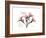 Oleander Peace-Albert Koetsier-Framed Premium Giclee Print