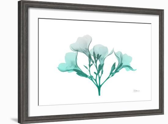 Oleander Turq Ombre-Albert Koetsier-Framed Art Print