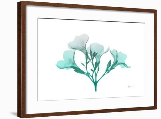 Oleander Turq Ombre-Albert Koetsier-Framed Art Print