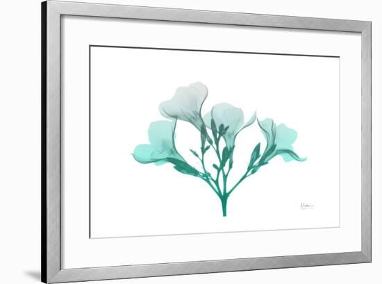 Oleander Turq Ombre-Albert Koetsier-Framed Art Print