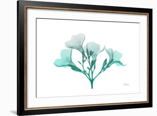 Oleander Turq Ombre-Albert Koetsier-Framed Art Print