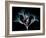 Oleander Whispers-Albert Koetsier-Framed Art Print