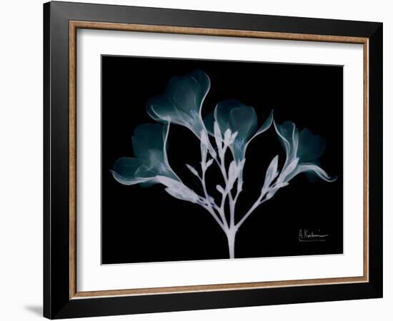 Oleander Whispers-Albert Koetsier-Framed Art Print