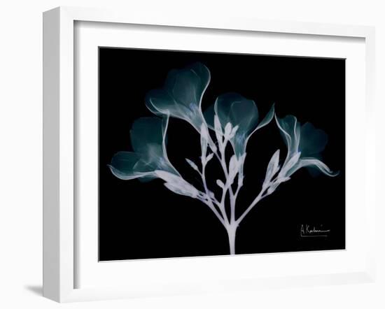 Oleander Whispers-Albert Koetsier-Framed Art Print