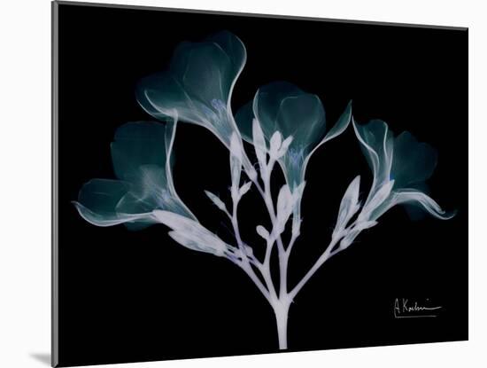 Oleander Whispers-Albert Koetsier-Mounted Art Print