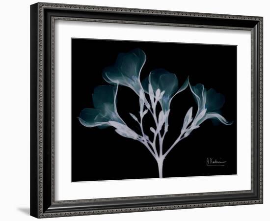 Oleander Whispers-Albert Koetsier-Framed Art Print