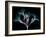 Oleander Whispers-Albert Koetsier-Framed Art Print