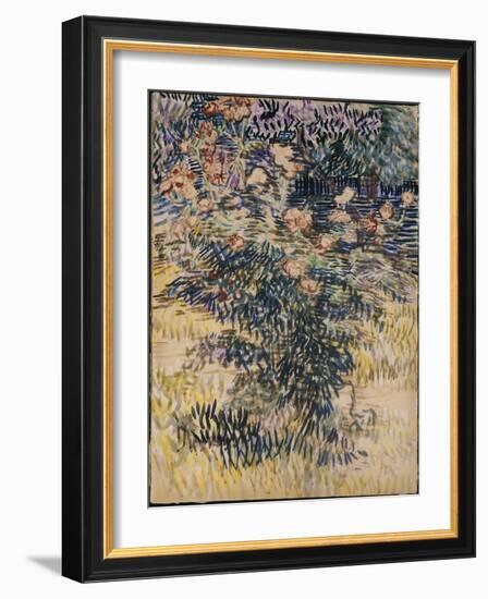 Oleanders, the Hospital Garden at Saint-Remy, 1889-Vincent van Gogh-Framed Giclee Print