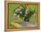 Oleanders-Vincent van Gogh-Framed Stretched Canvas