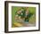 Oleanders-Vincent van Gogh-Framed Art Print