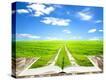 Stretched Canvas Print