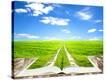 Stretched Canvas Print