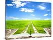 Stretched Canvas Print