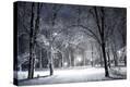 Stretched Canvas Print