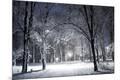 Photographic Print