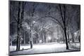Photographic Print