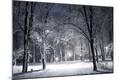 Photographic Print