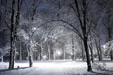 Winter Park in the Evening Covered with Snow with a Row of Lamps-Olegkalina-Photographic Print