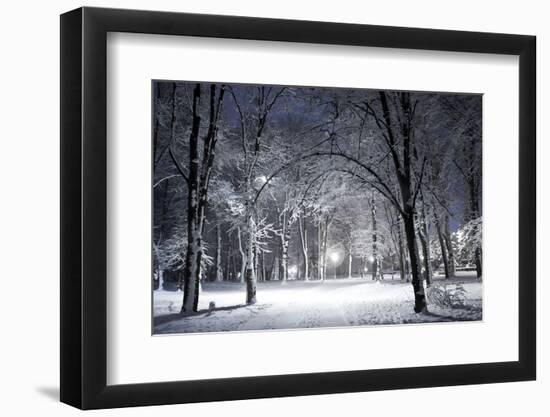 Photographic Print, , large