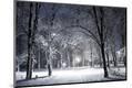 Photographic Print