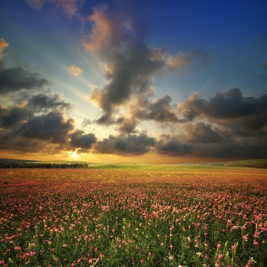 Photographic Print, , large