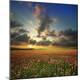 Premium Photographic Print