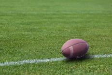 American Rugby Ball on the Grass-Olexandr-Mounted Photographic Print