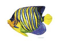 Fish 2 Blue-Yellow-Olga And Alexey Drozdov-Giclee Print
