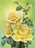 Roses Yellow-Olga And Alexey Drozdov-Giclee Print