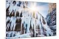 Photographic Print