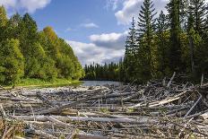 Landscape of the upper reaches of the Lena River, Baikalo-Lensky Reserve, Siberia, Russia-Olga Kamenskaya-Photographic Print