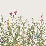 Vector Seamless Floral Border. Herbs and Wild Flowers. Botanical Illustration Engraving Style.-Olga Korneeva-Framed Art Print