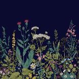 Vector Seamless Floral Border. Herbs and Wild Flowers. Botanical Illustration Engraving Style.-Olga Korneeva-Art Print