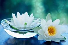 White Lotus Flower-Olga Miltsova-Photographic Print