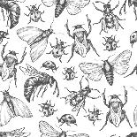 Hand Drawn Vector Pattern with Insects in Different Poses. Moth, Butterfly, Bee, Bumblebee, Ladybug-Olga Olmix-Stretched Canvas