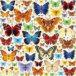 Butterfly Pattern-OlgaChernyak-Art Print