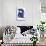 Olibet-Henri Matisse-Mounted Art Print displayed on a wall