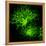 Oligodendrocyte Nerve Cells-Riccardo Cassiani-ingoni-Framed Premier Image Canvas